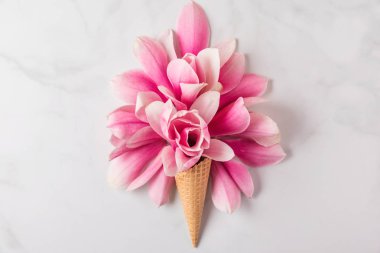 Beyaz arka planda bahar pembesi manolya çiçekli dondurma külahı. Asgari bahar konsepti. Düz yatıyordu