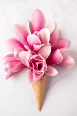 Beyaz arka planda waffle külahında pembe manolya çiçekleri. Asgari bahar konsepti. düz yat