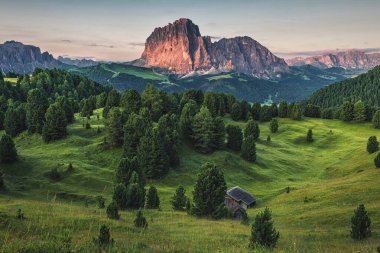 Beautiful Italian mountains Dolomites landscape with meadow and forest in South Tyrol or Alto Adige at sunrise. Italy, Europe clipart
