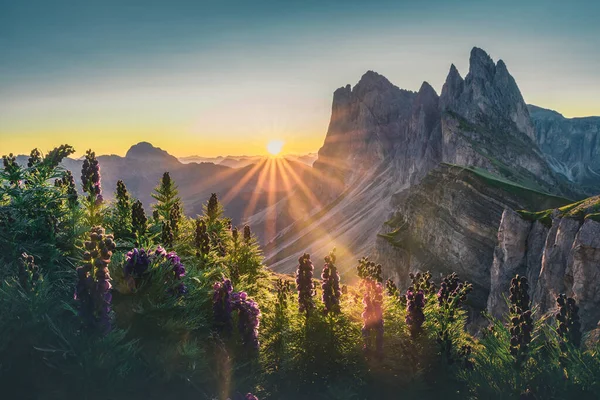 Seceda Tepesinin Manzarası Çok Güzel Trentino Alto Adige Dolomites Alpleri — Stok fotoğraf