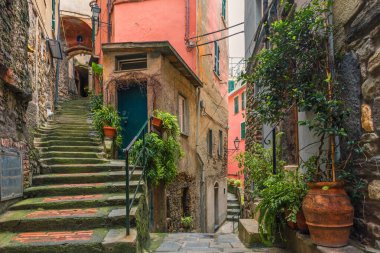 Vernazza 'daki eski İtalyan caddesinde ortaçağ merdivenleri ve yeşil bitkilerle Cinque Terre, Liguria, İtalya, Avrupa' da kimsesiz tencereler
