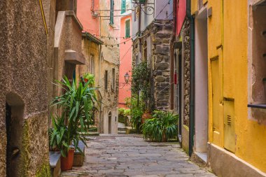 İtalyan kenti Vernazza 'da eski bir ortaçağ caddesi Cinque Terre kıyısında, Liguria, İtalya, Avrupa' da kimsesi yok.