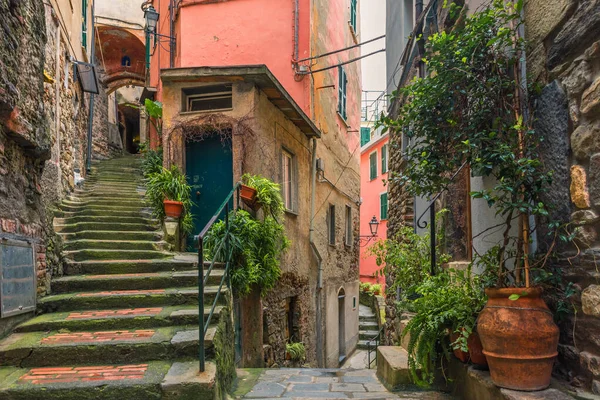 Antigua Calle Italiana Ciudad Vernazza Con Escaleras Medievales Macetas Con — Foto de Stock