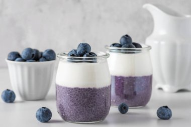 Hindistancevizli yoğurtlu yaban mersinli puding ve sağlıklı bir diyet kahvaltısı için taze böğürtlen. Vejetaryen yemeği. Kapat.