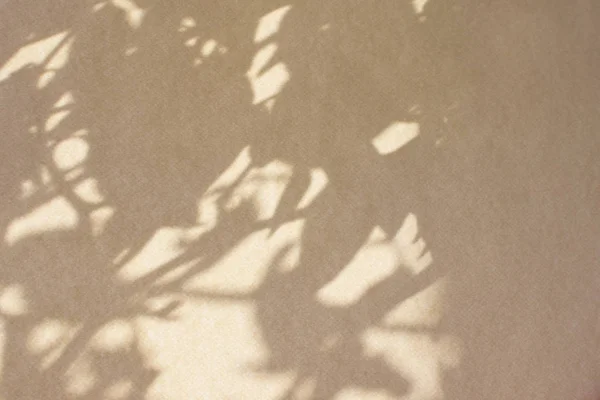Caligrafía papel, carta, hoja de papel, suministro de arte, Diploma-Pergamino a la luz con sombras — Foto de Stock