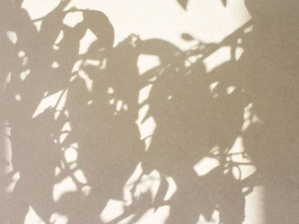 Papel de dibujo, carta, hoja de papel, suministro de arte, Schiller a la luz con sombras — Foto de Stock