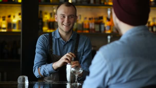 Barkeeper und Kunde kommunizieren an der Bar während der Cocktailzubereitung — Stockvideo