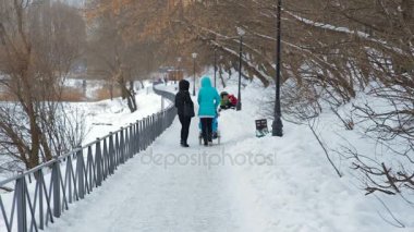 Kış Park'ta bir bebek arabası ile yürüyen kadın