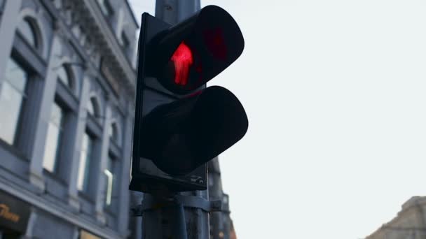 Traffic light byter röda lampor till grön — Stockvideo