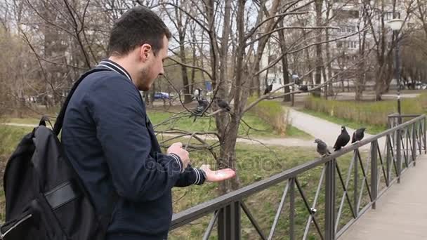 Um jovem está de pé em uma ponte no parque — Vídeo de Stock