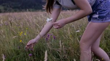 Kız bir dağ çayır çiçek toplama