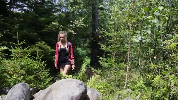 Senderismo mujer trekking en el bosque con mochila y comer frambuesas silvestres — Vídeo de stock