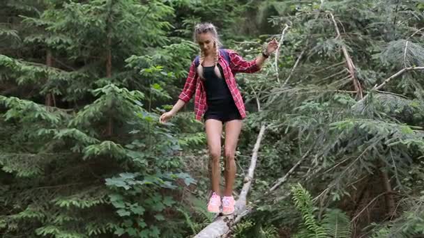 Turista menina na floresta equilibra em uma árvore caída — Vídeo de Stock