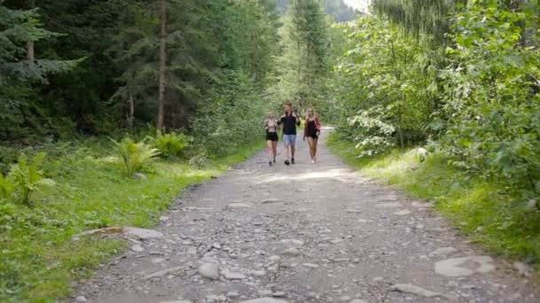 Escursionisti a piedi lungo una strada forestale — Video Stock