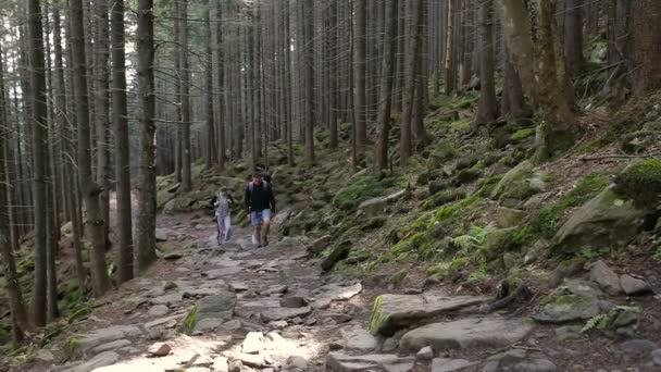 Lidé, příroda. Tramp trio v hoře. Dvě žena a muž pěší procházky po lesní cestě s batohem — Stock video