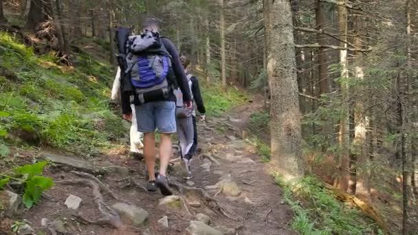 徒步旅行的人。三重奏的徒步旅行者在山中。步行穿过林间小径走，背包里的两个女人和男人跋涉 — 图库视频影像