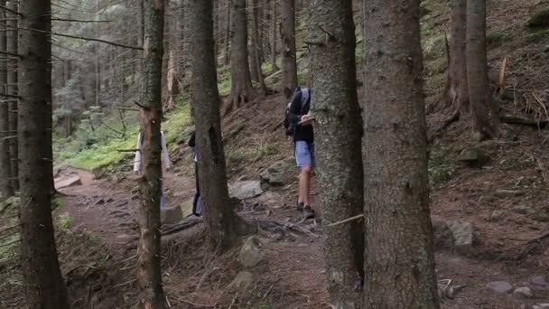 Tři cestovatelé dvě dívky a chlap se studiem mapy. Vycházka turistů lesem s batohy — Stock video