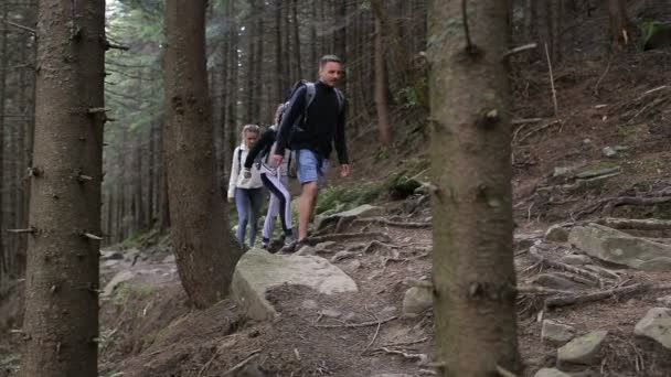 Пішохідні люди. Пішохідне тріо в горах. Дві жінки і чоловік ходять лісовою стежкою з рюкзаком — стокове відео