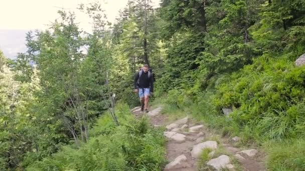 Caminhando pessoas. Trio de caminhantes na montanha. Duas mulheres e homens caminhantes caminhando pelo caminho da floresta com mochila — Vídeo de Stock