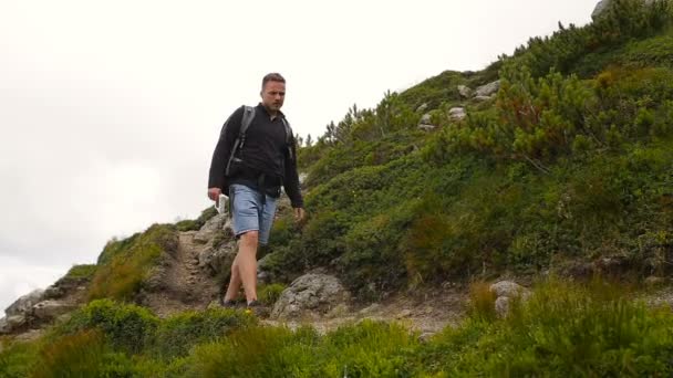 ハイカーは、美しい風景の中のハイキングします。男性と女性が山でバックパックとトレッキング ウォーキング — ストック動画
