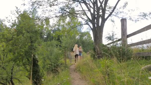 Flickvänner vandrar på en bergsväg — Stockvideo