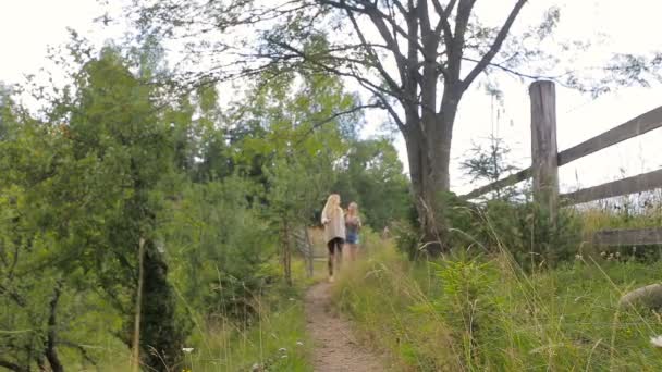 Freundinnen laufen auf einer Bergstraße — Stockvideo