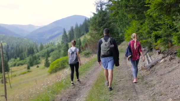 Tres turistas pasean por la carretera de montaña cerca del bosque — Vídeos de Stock