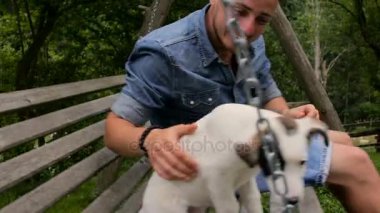 Bir adam ile bir salıncak arka bahçesinde üzerinde sallanan bir köpek