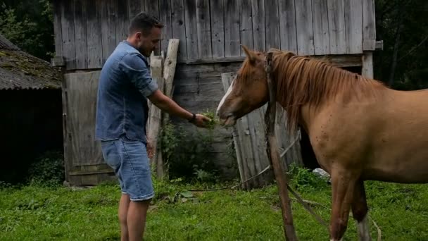 Człowiek, głaskanie konia we wsi — Wideo stockowe