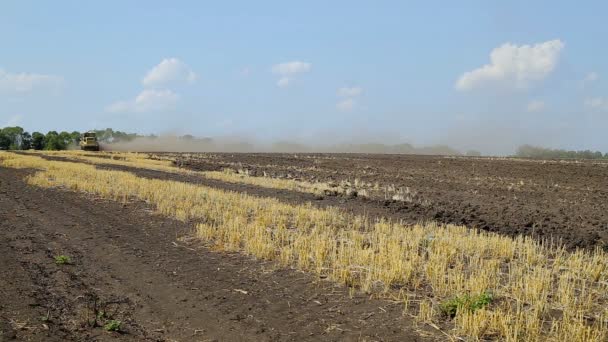 Agricultor está trabalhando em sua terra — Vídeo de Stock