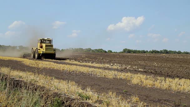農夫が自分の土地に取り組んでいます。 — ストック動画