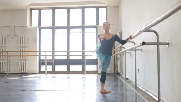 Bailarina de ballet profesional practicando cerca de un bar de ballet — Vídeo de stock