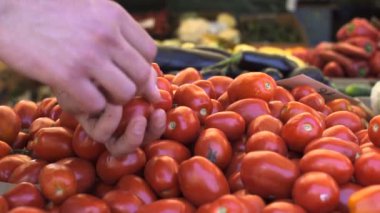 Genç adam ellerini meyve Pazar domateslere seçimi görünümünü kapat