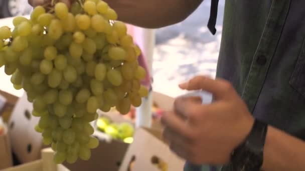 Vista de cerca de las manos del joven que elige las uvas en el mercado de frutas — Vídeos de Stock