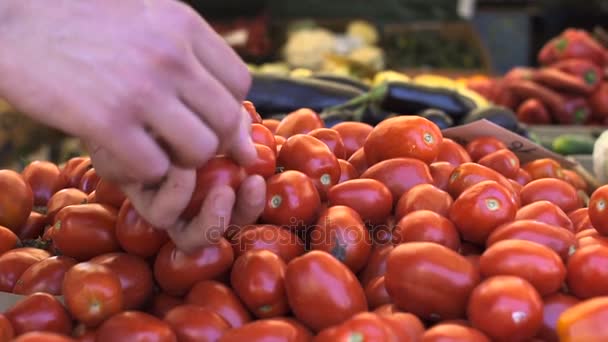 Zblízka pohled mladého muže rukou výběru rajčata na Ovocném trhu — Stock video