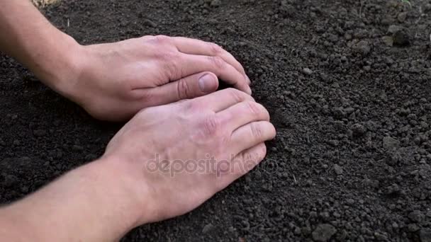 Αρσενική χέρι αγγίζει το έδαφος, τον έλεγχο ποιότητας, αργή κίνηση — Αρχείο Βίντεο