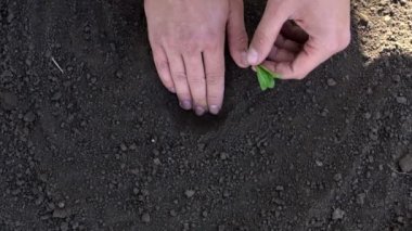 Erkek el atış ağır çekimde dikim