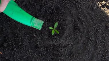 Bahçe, üst görünümünde küçük bitki sulama çiftçi