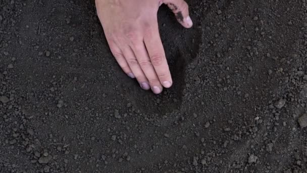 Mannenhand aanplant in slow-motion shot, bovenaanzicht — Stockvideo