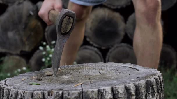 Seorang pria memotong kayu dengan kapak, gerakan lambat menembak — Stok Video