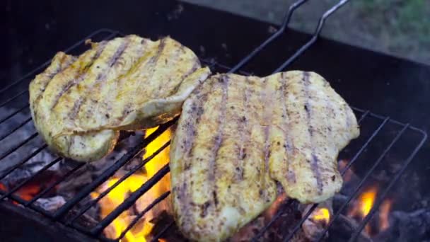 Kip is gebakken op een barbecue in de open lucht, slow-motion — Stockvideo