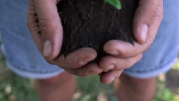 Agricoltore che tiene in mano la pianta del bambino. Scatto al rallentatore — Video Stock