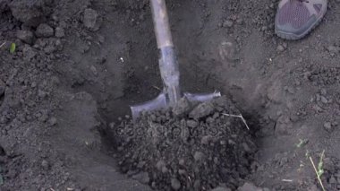 Bir çiftçi bir ağaç dikimi için bir delik kazılar