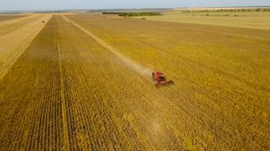 Hasat ayçiçeği birleştirin. Gün boyunca. Hava ateş. Sonbaharda.