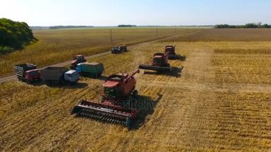 Biçerdöver Park üzerinden yayılan. Ayçiçeği hasadı