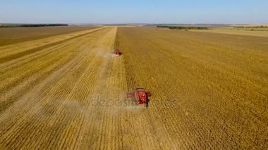 Biçerdöverler ayçiçeği hasat. Hava ateş