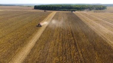 Biçerdöverler ayçiçeği gündüz hasat. Hava ateş