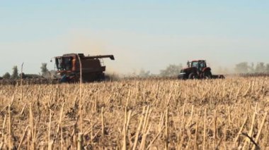 Ayçiçeği sahada çalışan birleştirin. Ağır çekim