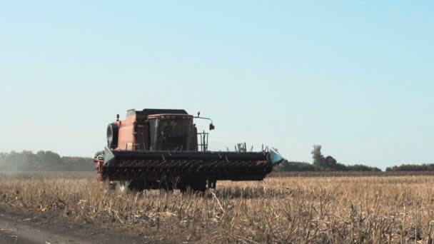 Combine trabalhando em um campo de girassol. Movimento lento — Vídeo de Stock