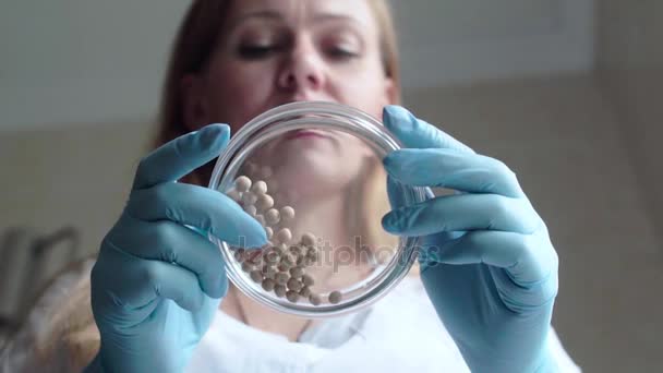 研究室アシスタントは、ペトリ皿でエンドウ豆の種子を分析します。スローモーション撮影. — ストック動画